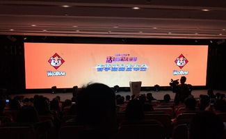 小熊尼奥春季新品发布会 以AR与创意软件打造儿童数字文化新生态