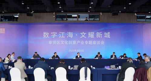 数字江海启新程，文耀新城谱华章 奉贤区召开文化创意产业专题调研会聚焦数字软件开发